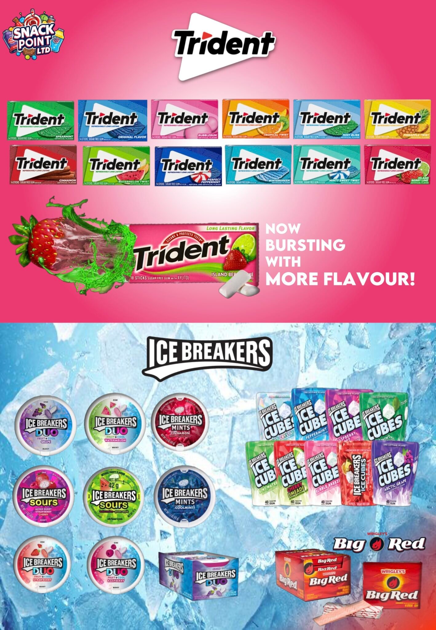 summer 2025 cateloge_17